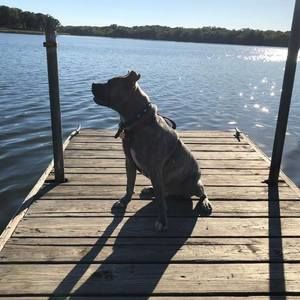 Meet your Posher, Jason